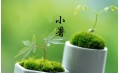 【生活預(yù)報(bào)】東方和利說(shuō)天氣，今日小暑